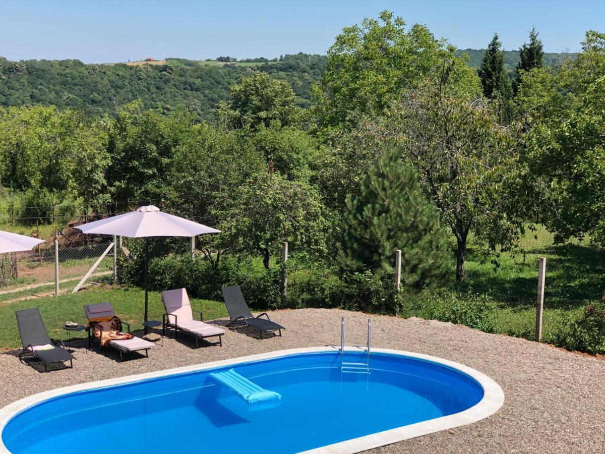 Fruska Pool House Villa Sremska Kamenica Exterior photo