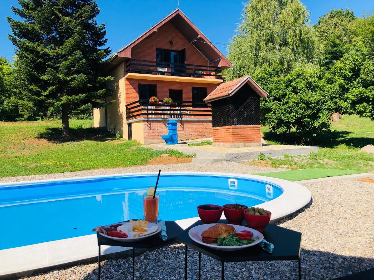 Fruska Pool House Villa Sremska Kamenica Exterior photo
