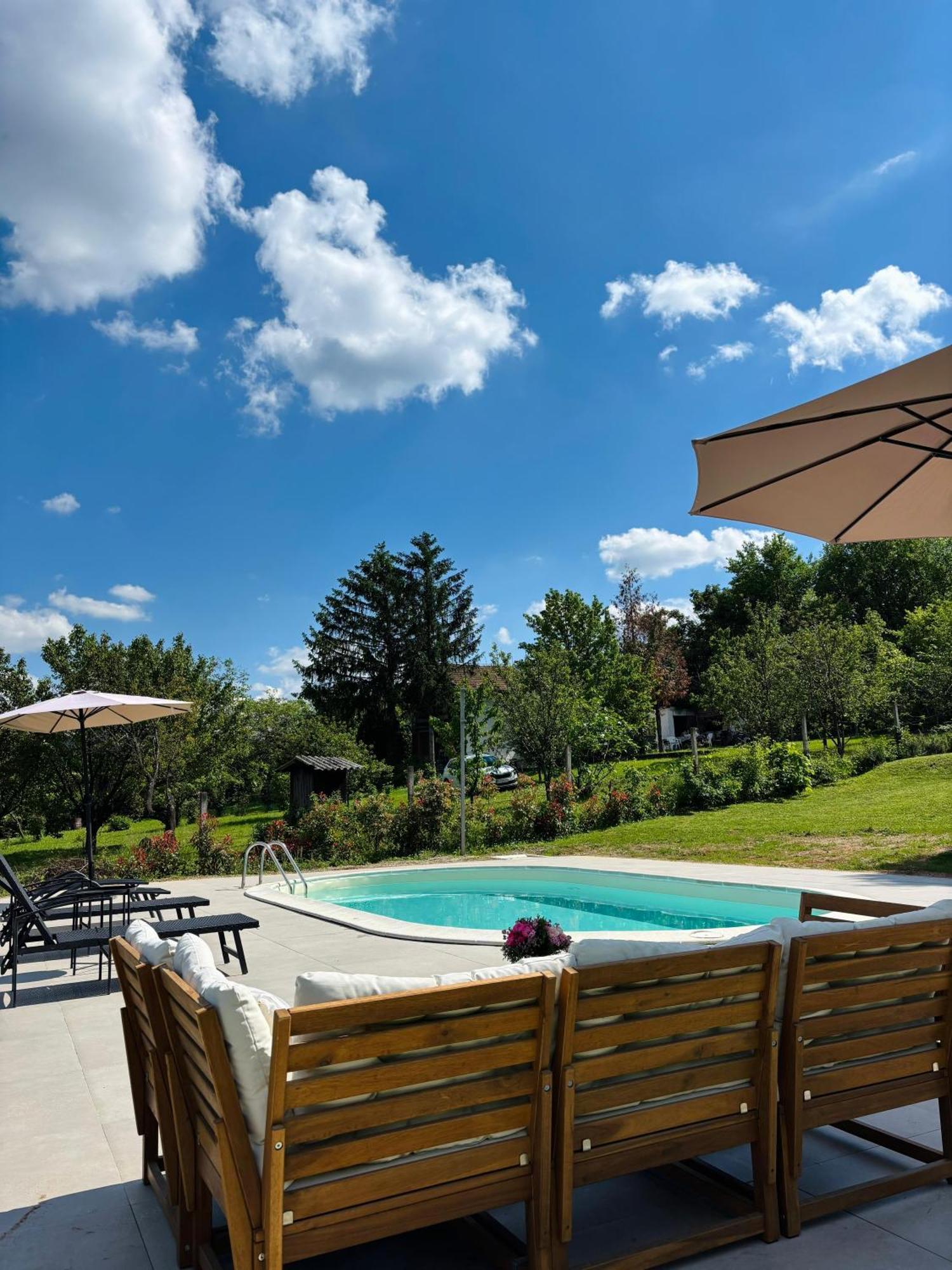 Fruska Pool House Villa Sremska Kamenica Exterior photo